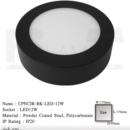 ดาวน์ไลท์ downlight ขายโคมไฟ ร้านโคมไฟ โตมไฟโมเดิร์น CPNCIR-BK-LED-12W