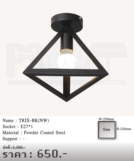 โคมไฟเพดาน-โคมไฟโมเดิร์น-โคมเพดาน-ร้านโคมไฟ-ร้านขายโคมไฟ-TRIX-BK(NW)